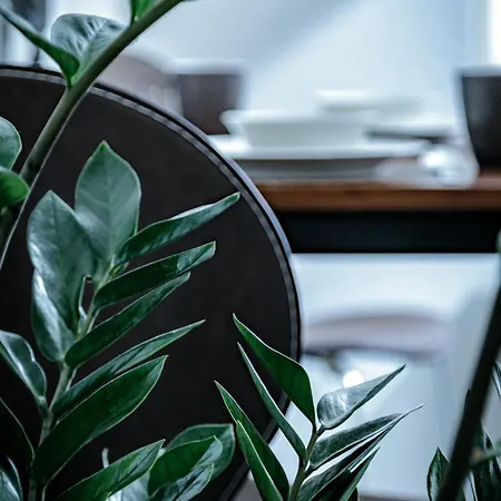 Appartamento Neuwerk Erfurt Esterno foto